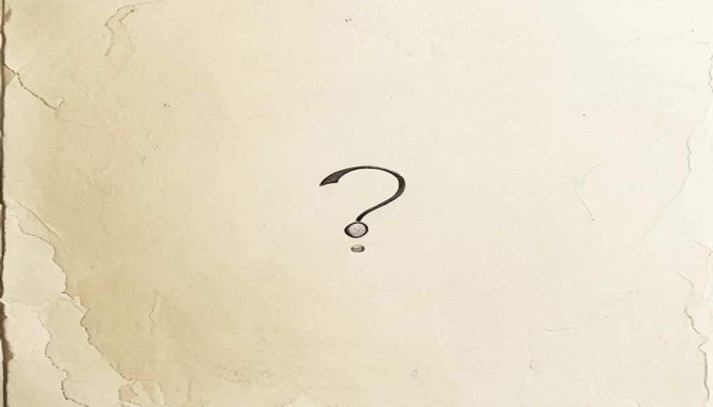 Single fish with a question mark — minimalist surimi kosher question ink sketch