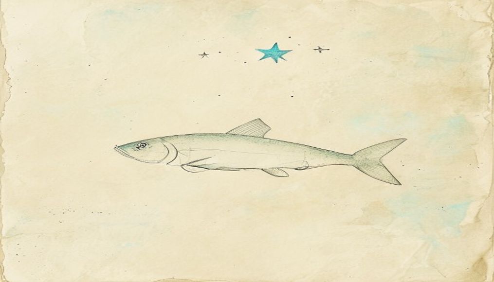Single kosher fish with Star of David — minimalist Jewish holidays ink sketch