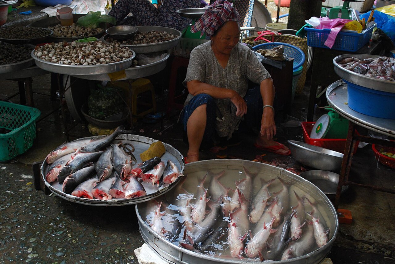 Basa fish (Pangasius bocourti) for sale at a Vietnamese market, the farmed catfish behind the is basa fish kosher question
